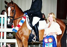 Arabian (Arabian, 21 yrs) in Huddleston, VA