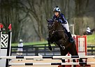 Slick Moves - Gelding in Mount Airy, MD Slick Moves - Gelding in Mount Airy, MD