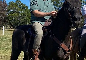 Tennessee Walking