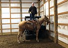 Doo Da - Mare in Harrison, AR Doo Da - Mare in Harrison, AR