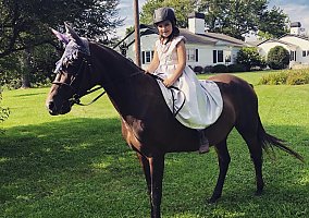 Connemara (Connemara, Mare) in Marshall, VA