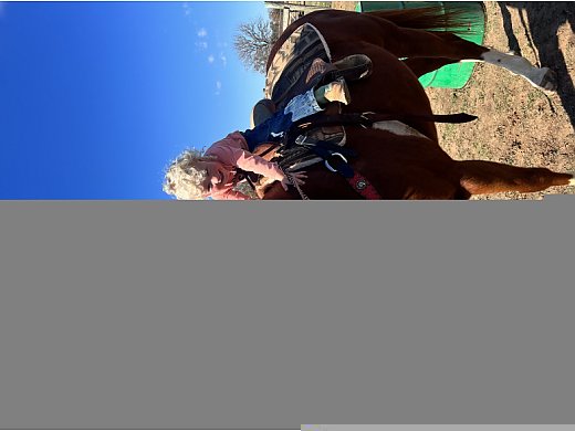 Grade Mare
