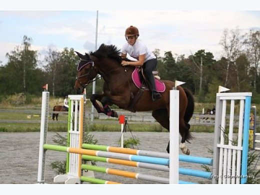 Great Jumping Mare