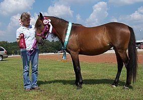 Mustang (Mustang, Mare) in Bossier City, LA