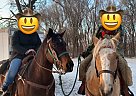 Chanel - Mare in Sioux Falls, SD Chanel - Mare in Sioux Falls, SD
