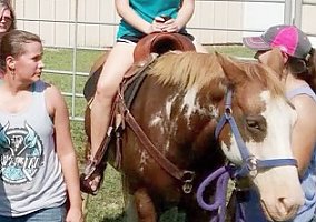 Paint (Paint, Mare) in Colt, AR