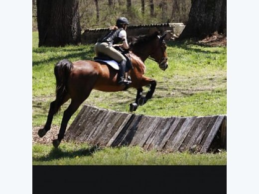 Abbey: on Farm 1/2 Lease