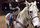Gus - Gelding in Camas, WA Gus - Gelding in Camas, WA