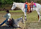Appaloosa - Horse for Sale in Kentwood, LA 70444