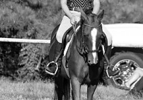 Quarter Horse (Quarter Horse, Mare) in Canton, GA
