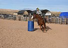 Clovis - Gelding in Scenic, AZ Clovis - Gelding in Scenic, AZ