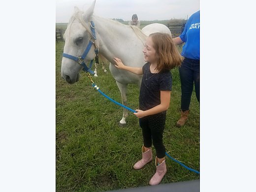 Spirited Paso Fino Mare