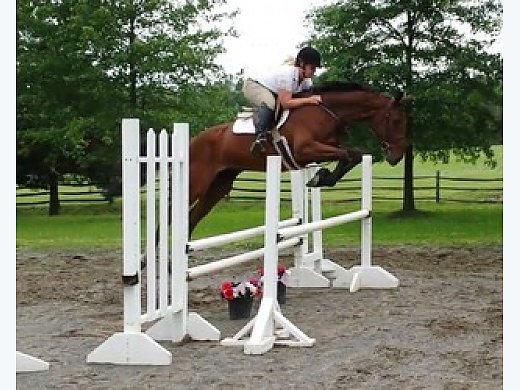 Jumper Prospects