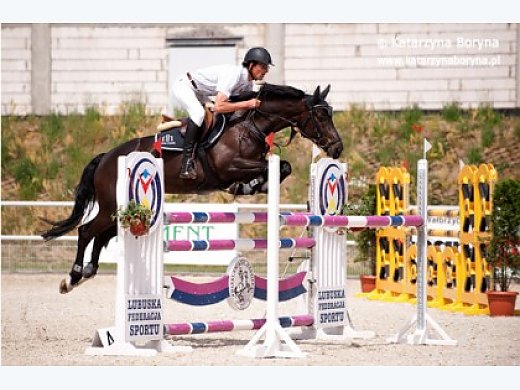 Wonderful Mover With Superior Jumping Form for Kids