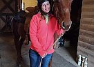 Quarter Horse Mare for Sale in Waterford, Pennsylvania Quarter Horse Mare for Sale in Waterford, Pennsylvania