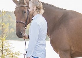 Warmblood (Warmblood, Mare)