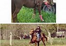 - Mare in Princeton, WV - Mare in Princeton, WV