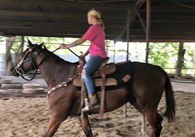 Thoroughbred (Thoroughbred, Mare) in San Antonio, TX