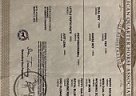 Quarter Horse - Horse for Sale in Pocasset, OK 73079 Quarter Horse - Horse for Sale in Pocasset, OK 73079