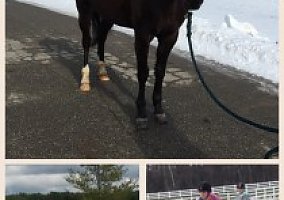 Hanoverian