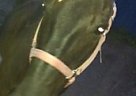 Beautiful Black Gelding Quarter Horse Gelding
