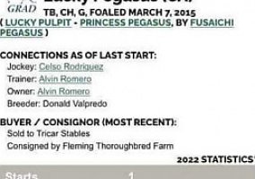 Thoroughbred (Thoroughbred, Gelding) in Franklinton, LA