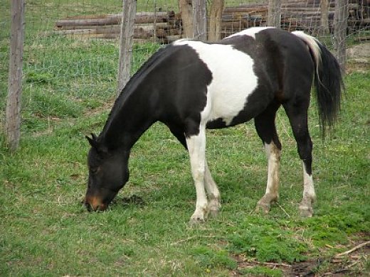 Intellegence, Personality, Looks Mariah has it All!