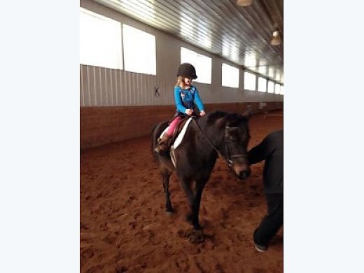 Jumper Pony