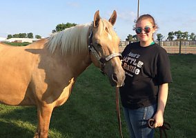 Quarter Horse (Quarter Horse, Gelding) in Adrian, MN