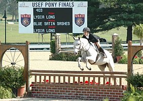 Welsh Pony and Cob (Welsh Pony and Cob, Mare) in Lebanon, OH