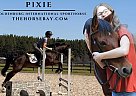 Oldenburg - Horse for Sale in Hoffman, NC 28347 Oldenburg - Horse for Sale in Hoffman, NC 28347
