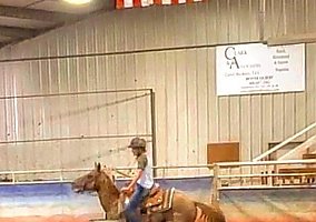 Appaloosa (Appaloosa, Mare) in Shepherd, MT