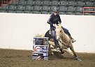 Quarter Horse Mare for Sale in Holly Springs, Mississippi Quarter Horse Mare for Sale in Holly Springs, Mississippi