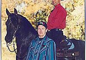 Black Homozygous Arabian Multi Champion Arabian Stallion