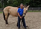 Other Gelding for Sale in Gettysburg, Pennsylvania Other Gelding for Sale in Gettysburg, Pennsylvania