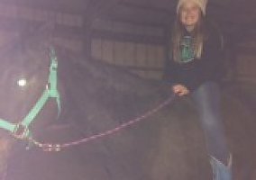 Quarter Horse (Quarter Horse, Mare) in Starbuck, MN