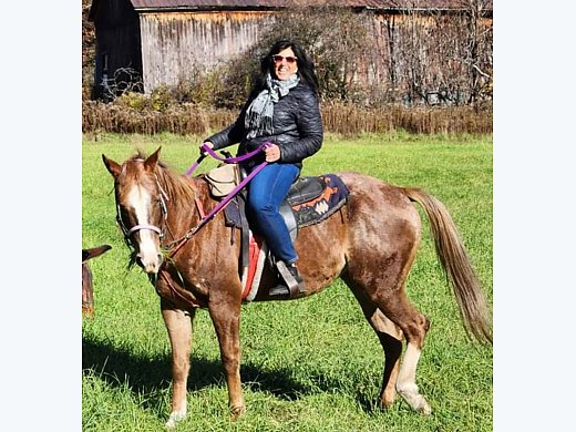 Red Roan Mare
