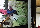 Quarter Pony - Horse for Sale in Nashville, AR 71852