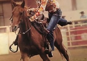 Pony of the Americas (Pony of the Americas, Mare) in Eureka, KS