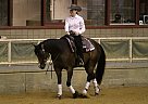 Great Youth/Beginner Reining Hor... Quarter Horse Gelding