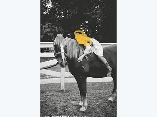 BLM Mustang Lesson Horse