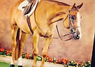 Shez The Only One Quarter Horse Mare