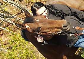 Quarter Horse (Quarter Horse, 20 yrs) in Waverly, NY