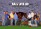 Appaloosa - Horse for Sale in Corrales, NM 87048 Appaloosa - Horse for Sale in Corrales, NM 87048