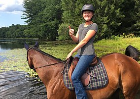 Thoroughbred (Thoroughbred, Mare) in Harwinton, CT