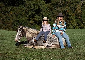 Appaloosa (Appaloosa, Gelding)