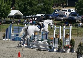 Hanoverian (Hanoverian, Mare) in Tracy, CA