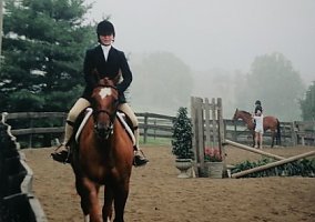 Quarter Horse (Quarter Horse, Gelding) in Bangor, PA