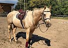 Hunter for Half Lease Zephyr