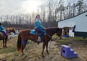 Luna (Quarter Horse, Mare) in Locust Grove, VA